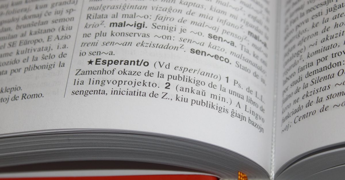 Close-up of an open book featuring text and definitions in Esperanto language.